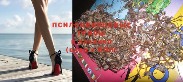 кокаин Новозыбков