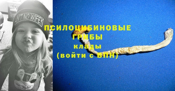 молекула духа Новокубанск
