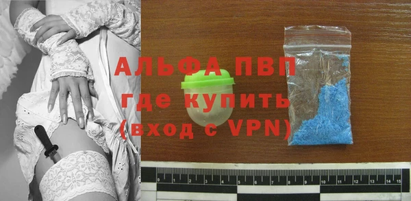 эйфоретик Новодвинск