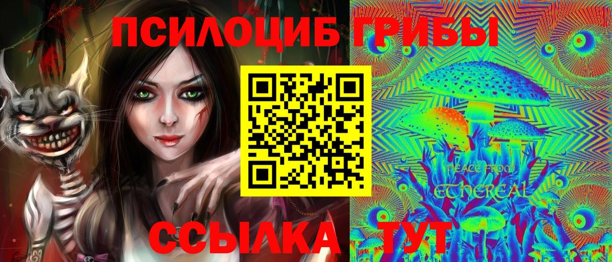 Галлюциногенные грибы GOLDEN TEACHER  где купить наркоту  Галлюциногенные грибы мицелий  Зерноград  Вход с VPN 